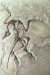 Archaeopteryx - fosilie